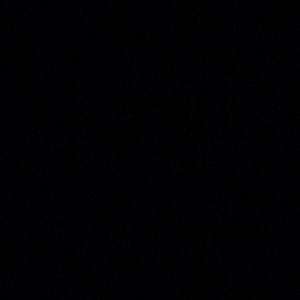 Meet your Posher, Robyn